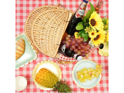 Grande Cestino da Picnic Vuoto con Cinghia in Pelle Vimini per Sei Persone Ottimo Guadagno Salice Ovale