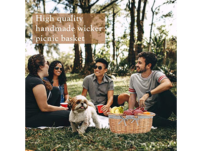 Cesti da Picnic Isolati in Vimini Blu e Bianco Cesto per Bambini Rosa Perfetto