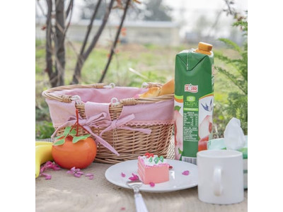 Cestini da Picnic in Legno Intrecciato Cestino Internazionale Pieghevole per Stoccaggio